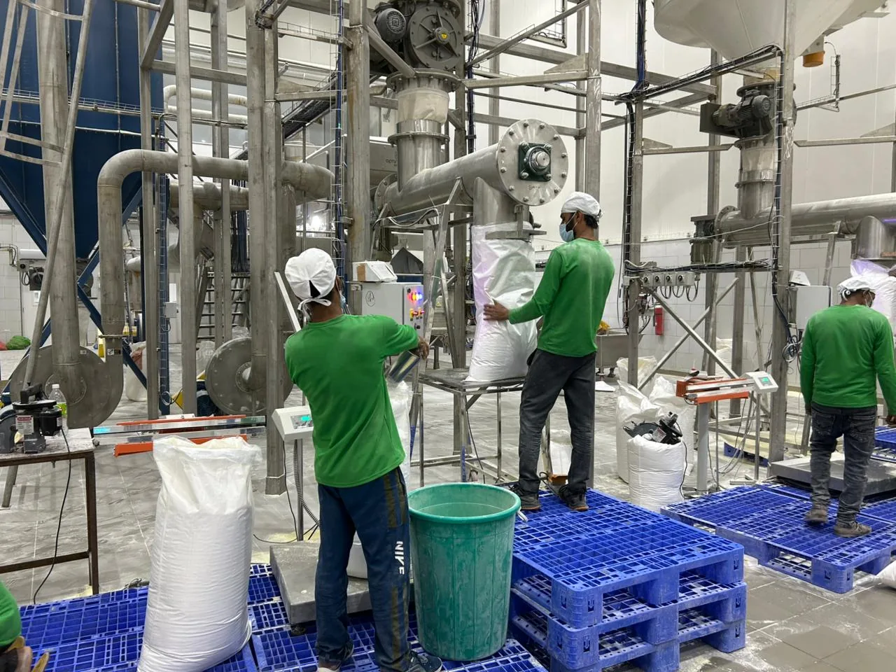 Workers filling and sealing multi-layer bags of flakes on the packing line